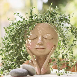 Vase Visage