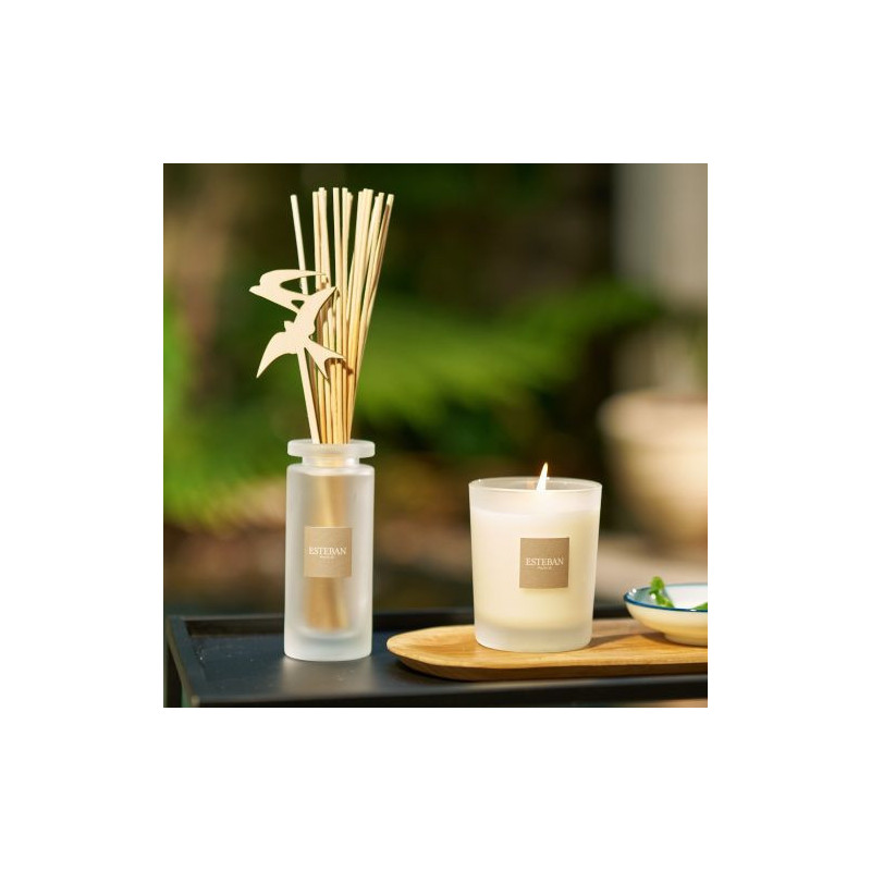 Recharge bougie citronnelle
