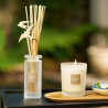 Recharge bougie citronnelle