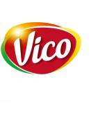 Vico